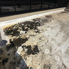 Commercial-TPO-Roof-Wash 0